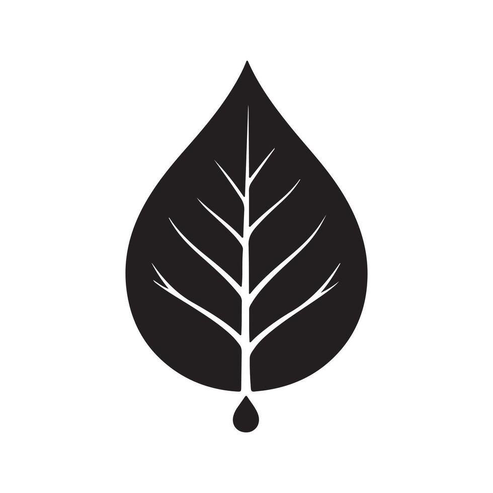 Abstract Black leaf with veins and a drop in monochrome style Icon or Logo Design Template vector