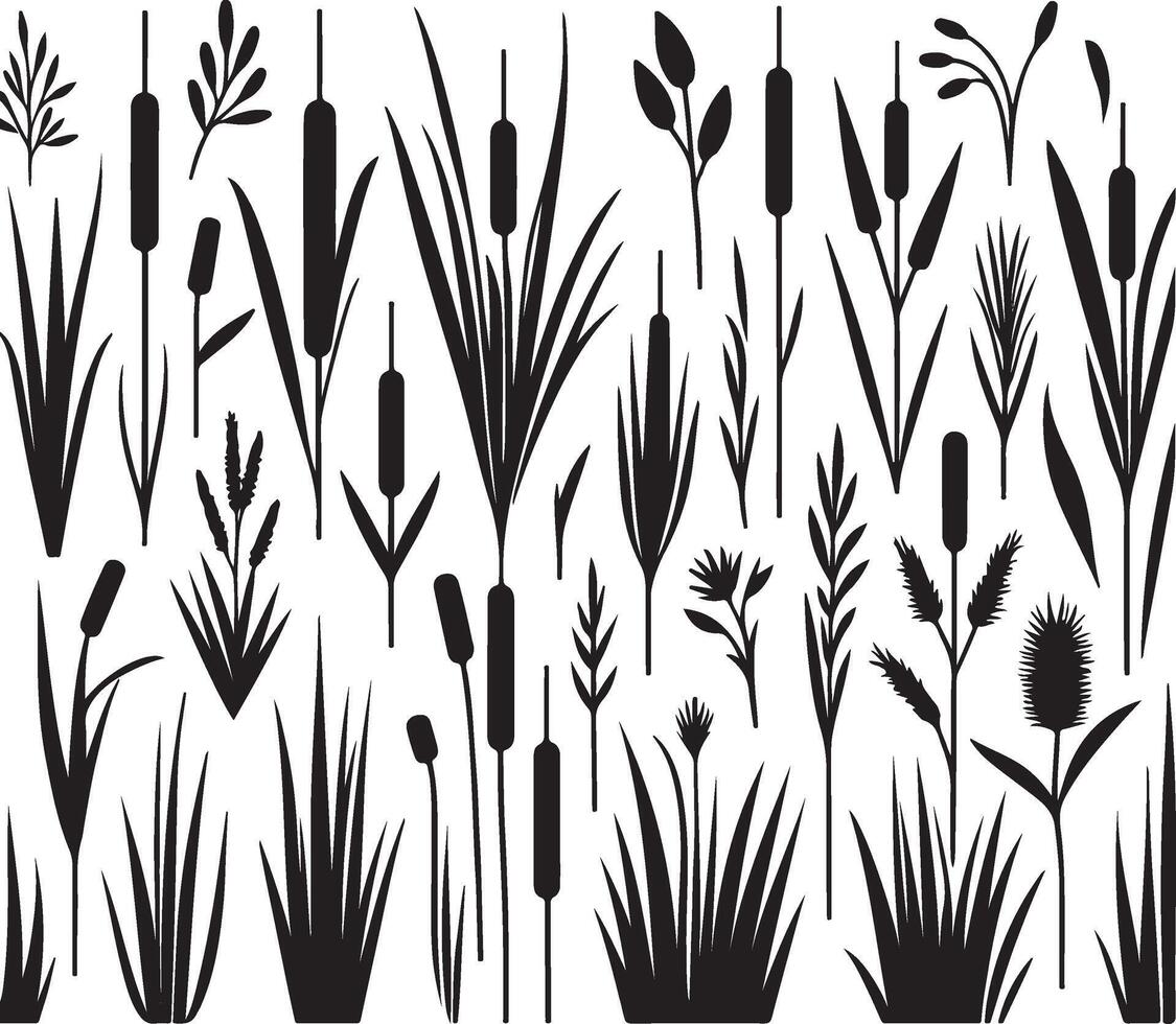 Set of black silhouettes of grass, reeds, and various plants vector