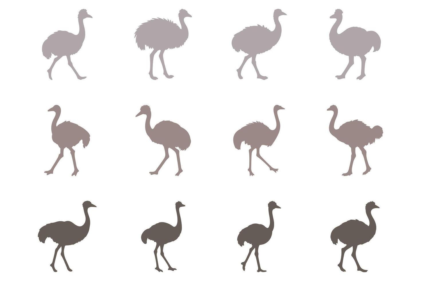 Ostrich Silhouette Icon Set. Animal Illustration Design vector