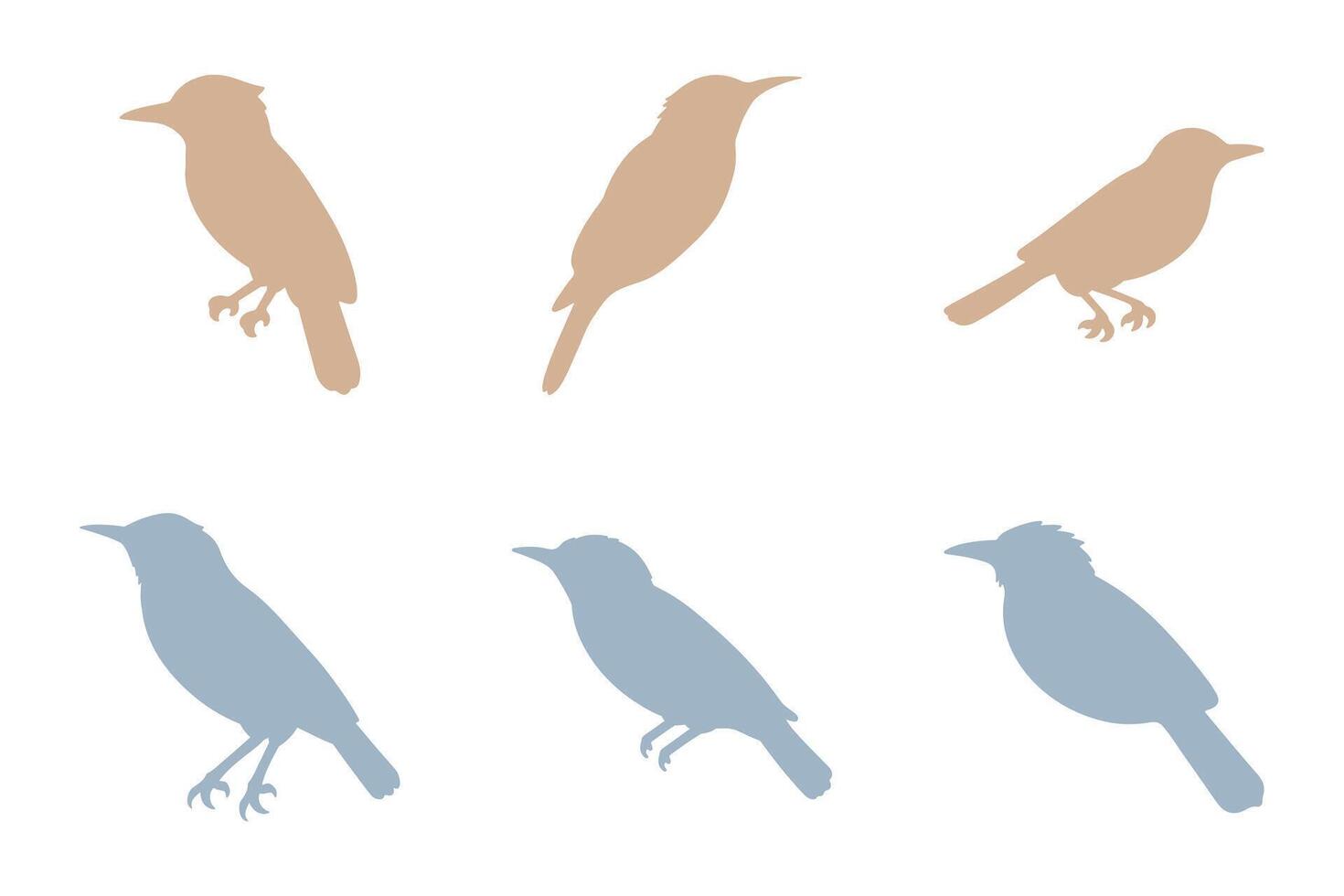 Shrike Bird Silhouette Icon Set. Animal Illustration Design vector
