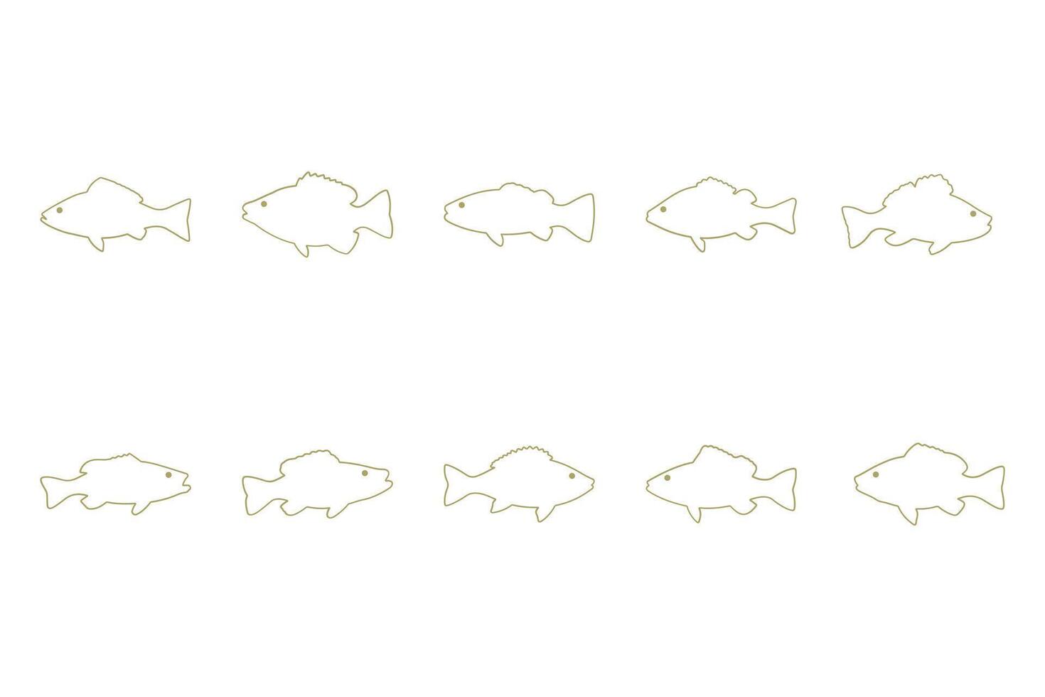 Perch Fish Outline Icon Set. Animal Illustration Design vector