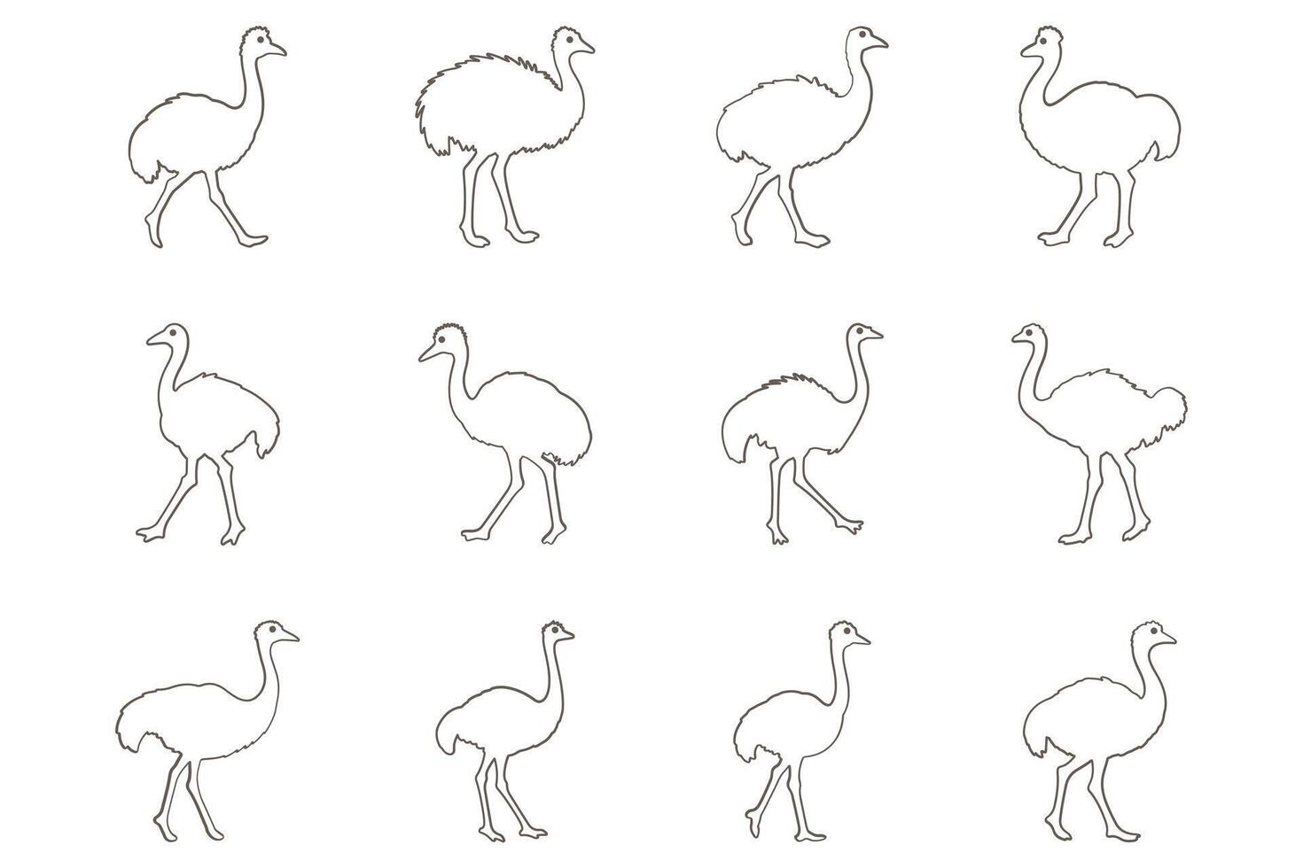 Ostrich Outline Icon Set. Animal Illustration Design vector