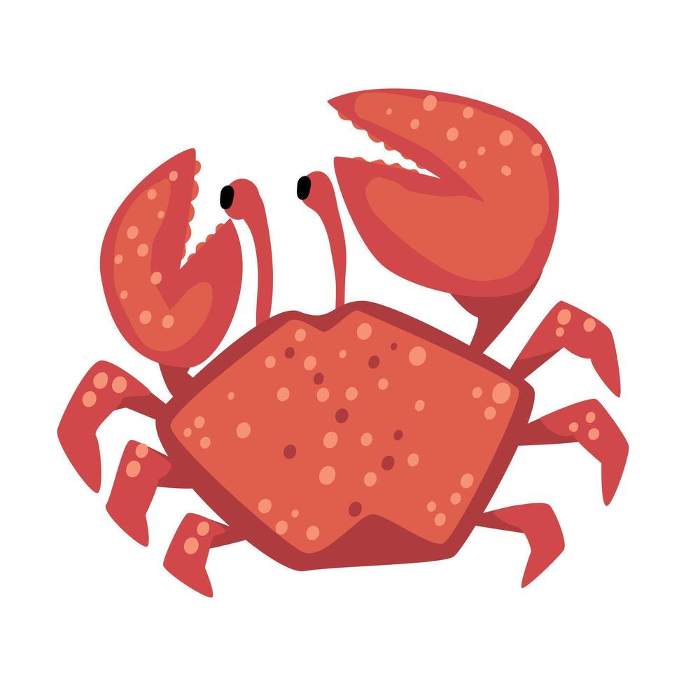 Red Crab Animal, Marine Life Element, Sea or Ocean Creature Illustration vector