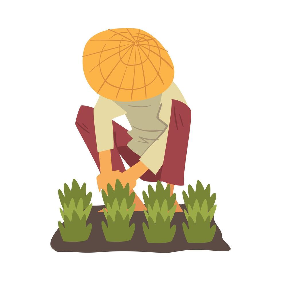Asian Farmer in Straw Conical Hat Caring for Plants, Peasants Character Planting Rice on Field Cartoon Style Illustration vector
