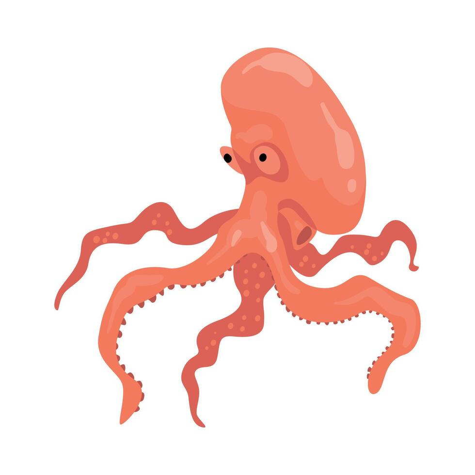 Octopus, Marine Life Element, Sea or Ocean Animal Illustration vector