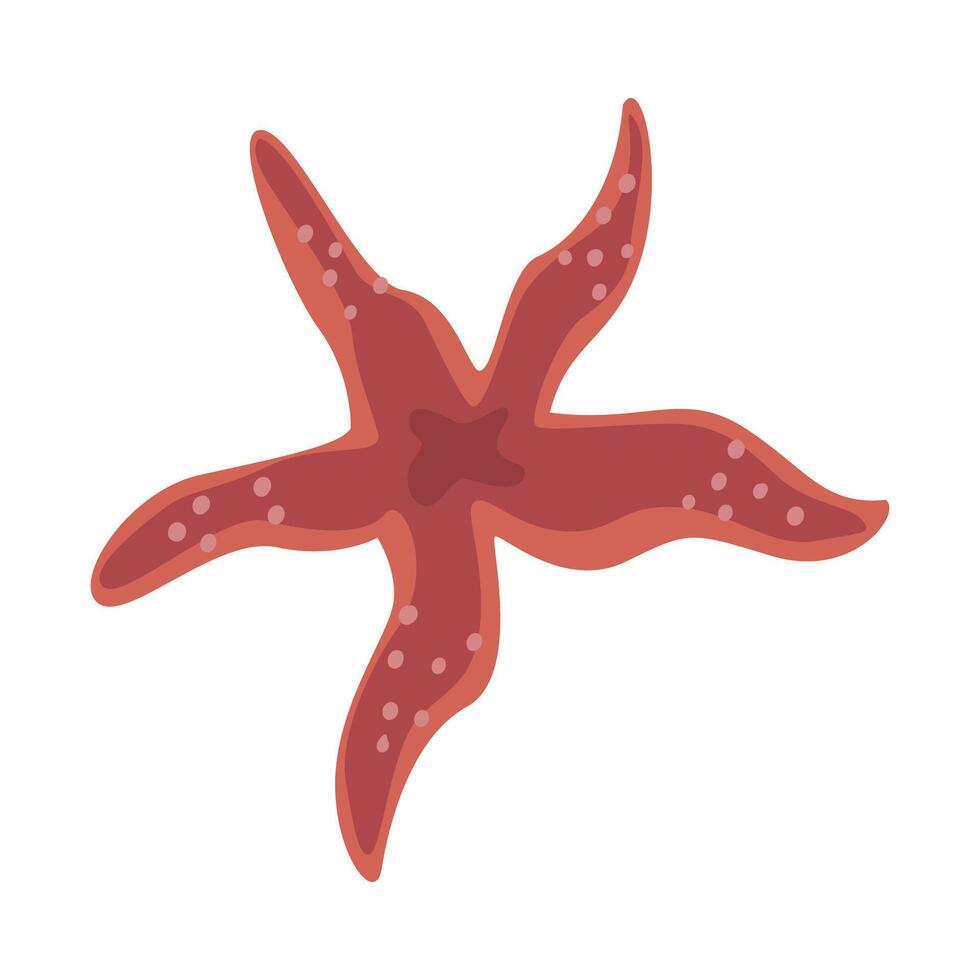 Red Starfish, Marine Life Element, Sea or Ocean Creature Illustration vector