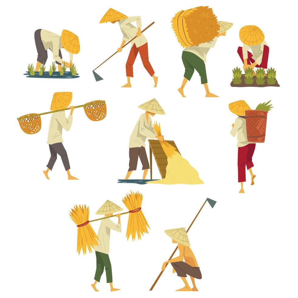 Asian Farmers in Straw Conical Hats Working on Field, Peasants Characters Planting and Harvesting Rice Cartoon Style Illustration vector