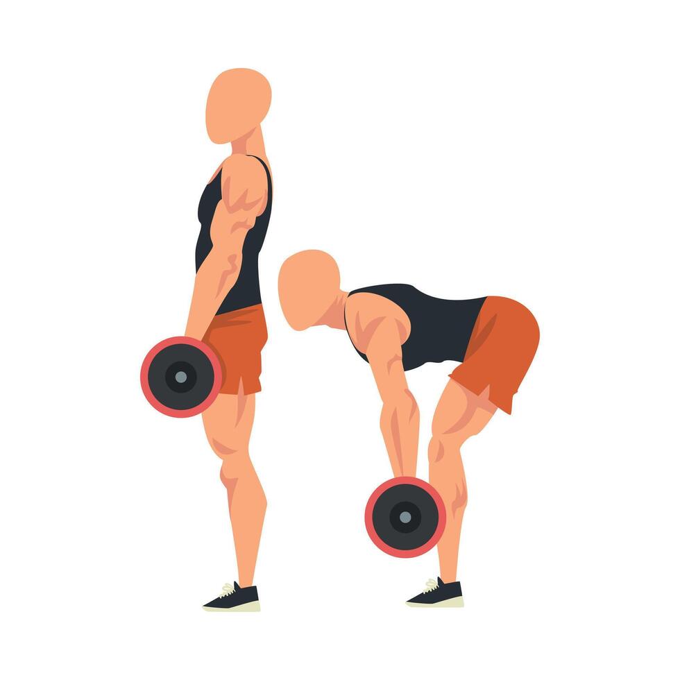 Man Doing Dumbbell Deadlift in Two Steps, Male Athlete Doing Sports for Fit Body, Buttock Workout Illustration Isolated on White Background vector