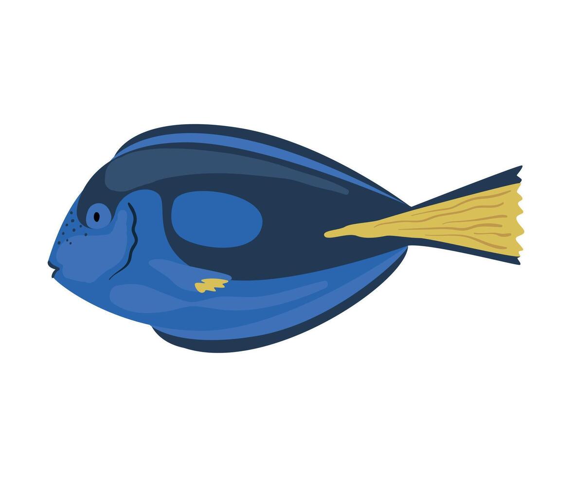 Regal Tang Fish, Marine Life Element, Sea or Ocean Creature Illustration vector