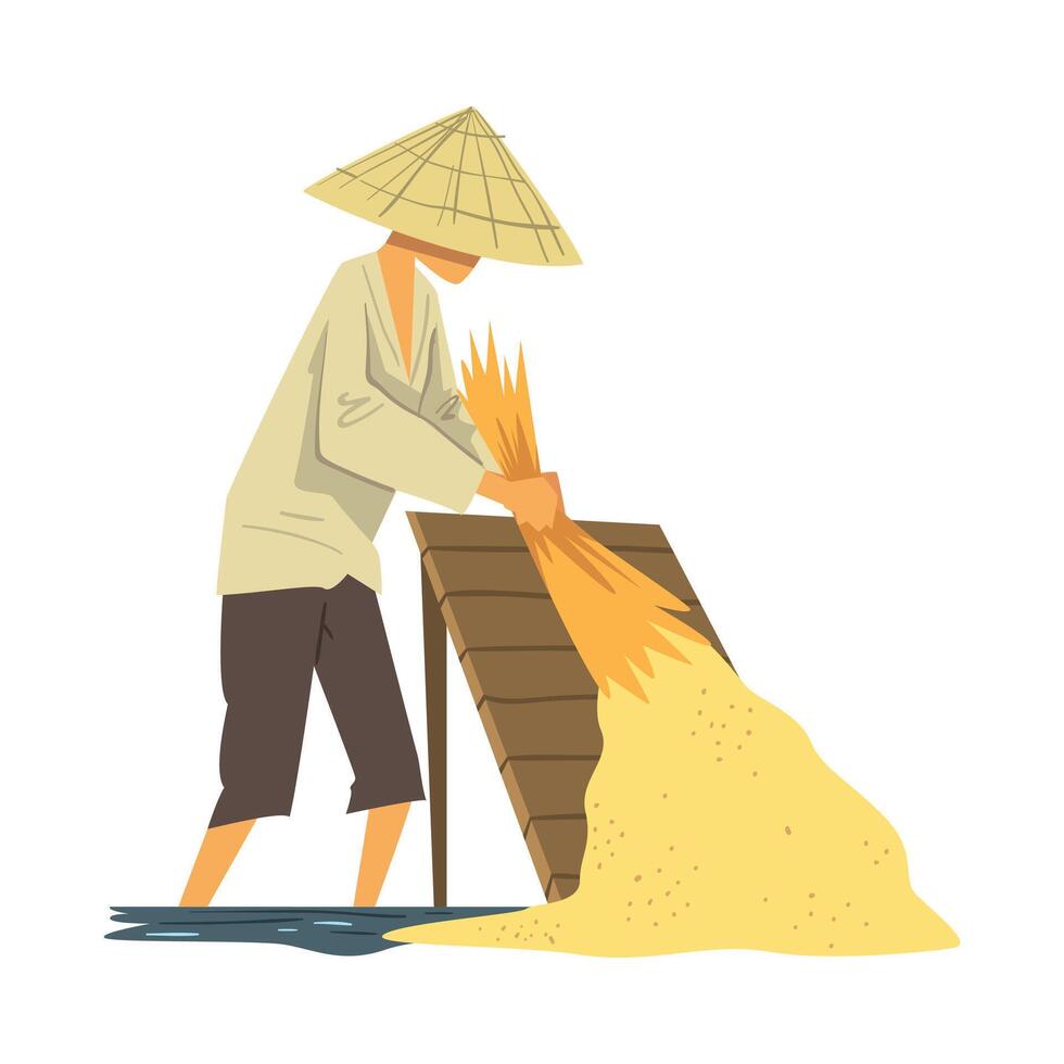 Asian Farmer in Straw Conical Hat Harvesting Rice Cartoon Style Illustration on White Background vector