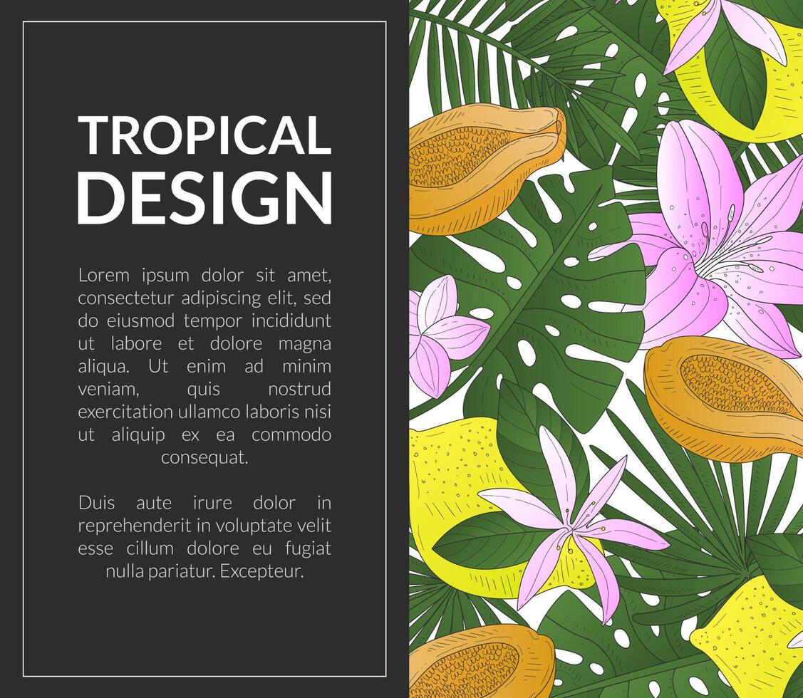 Tropical Design Banner Template with Bright Exotic Leaves, Flowers, Fruits and Space for Text Illustration vector