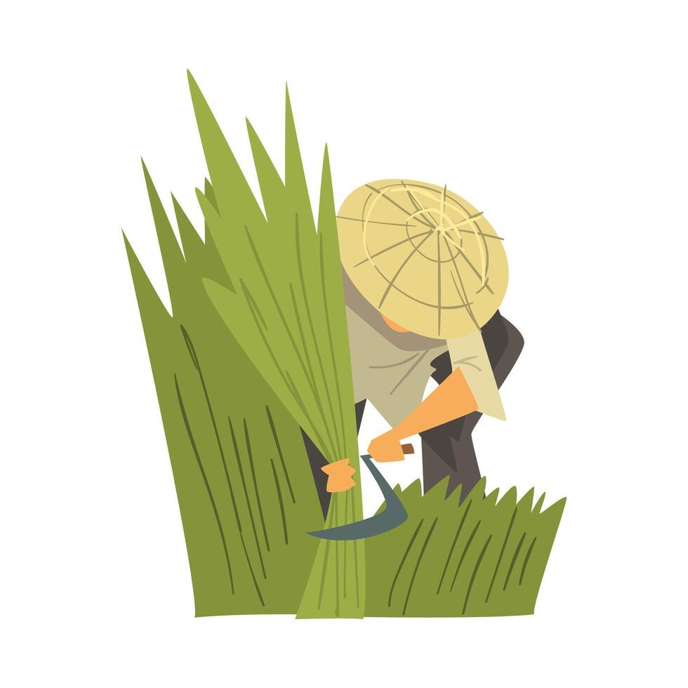 Asian Farmer in Straw Conical Hat Harvesting Rice, Peasants Character Working on Field Cartoon Style Illustration vector
