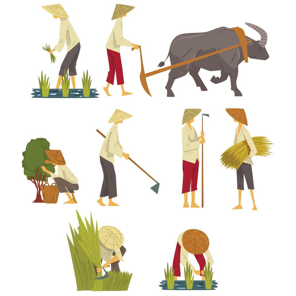 Asian Farmers in Straw Conical Hats Working on Field, Peasants Characters Planting and Harvesting Rice, Picking up Tea Leaves Cartoon Style Illustration vector