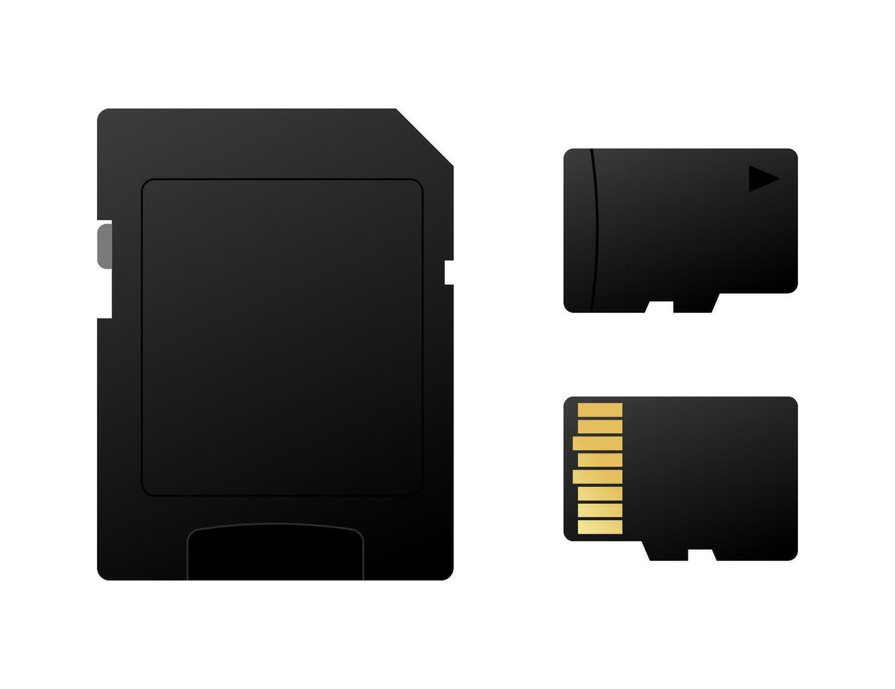 Sd card and micro sd card with adapter showing their front side vector