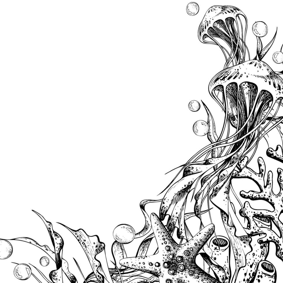 Seahorse, jellyfish, seashell, coral starfish sea sponge, algae, pebbles and bubbles. Hand drawn graphic illustration in black and white color line art. Frame template angular for text on marine theme vector