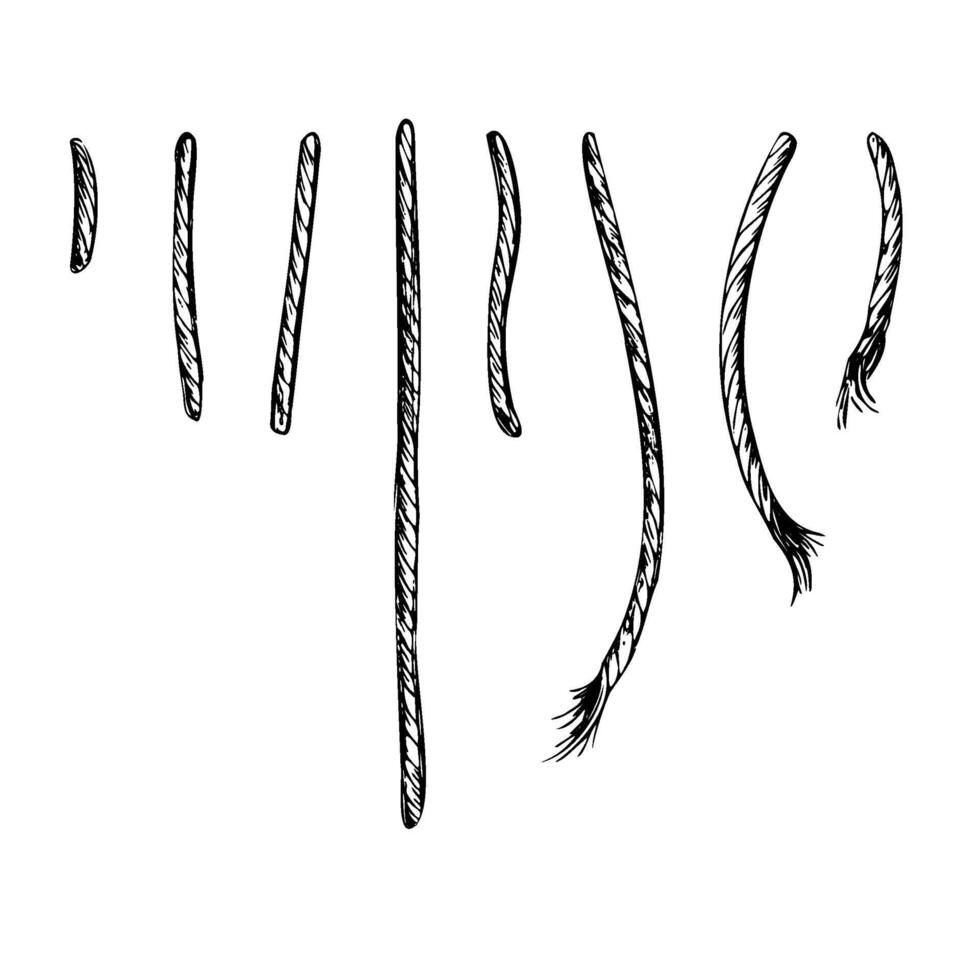 Rope, cable, jute, parts and tails, ends twisted, ornate. Graphic line drawn by hand with black ink, monochrome illustration. Set of isolated objects EPS vector
