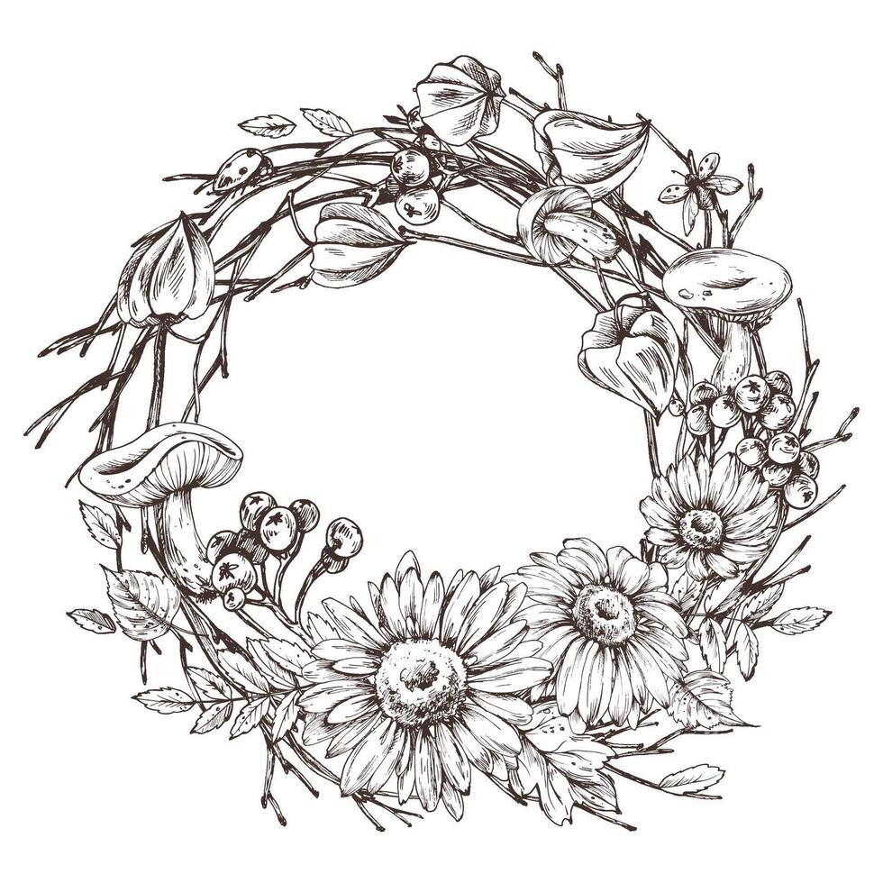 Autumn berries physalis, chokeberry rowan leaves, maple, birch, mushrooms, rudbeckia flowers, tree branches. Graphic line art hand drawn with black ink. Round wreath, frame, template for text. vector