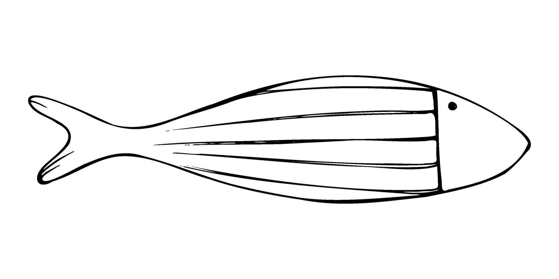 Large elongated fish of simple shape with rustic patterns. Graphic line art hand drawn on theme of sea and fishing in black and white ink. Separate element isolated from the background EPS vector