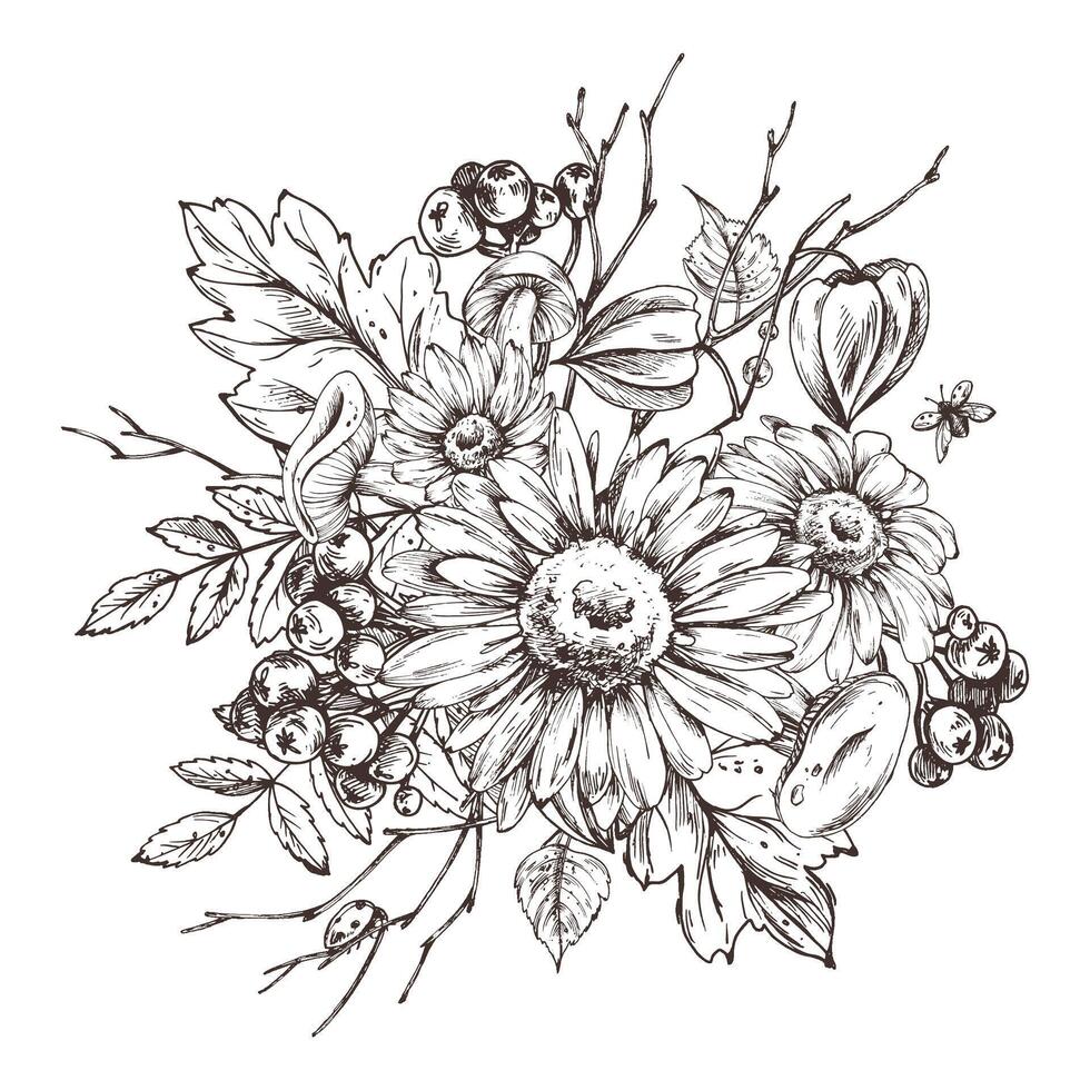 Autumn berries physalis chokeberry, rowan leaves, maple, birch, russula mushrooms, rudbeckia flowers, tree branches. Graphic line art hand drawn with black ink. Arrangement, sublimation, composition vector