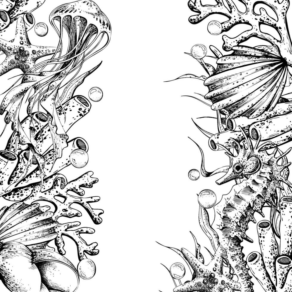 Seahorse, jellyfish, seashell, coral, starfish, sea sponge, algae, pebbles and bubbles. Hand drawn graphic illustration in black and white color line art. Frame template for text on marine theme vector