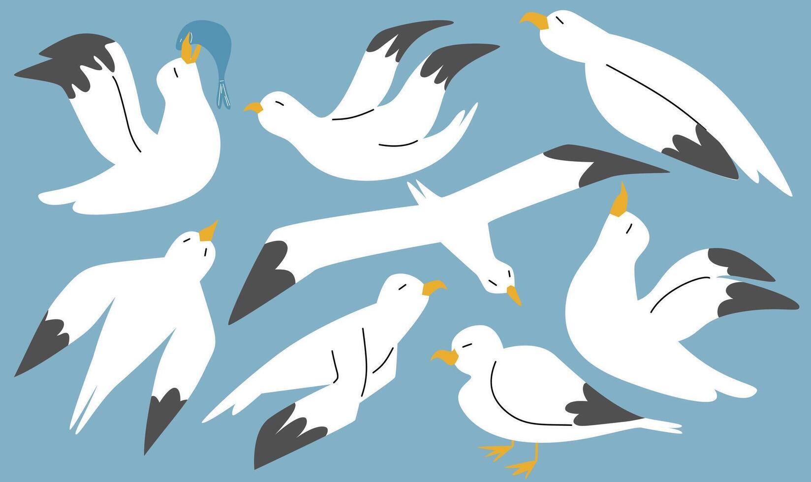 Seagulls flying in blue sky, cartoon atlantic seabird. Sea, Ocean, Gull, bird set. Big oceangull pack isolated on sky background vector