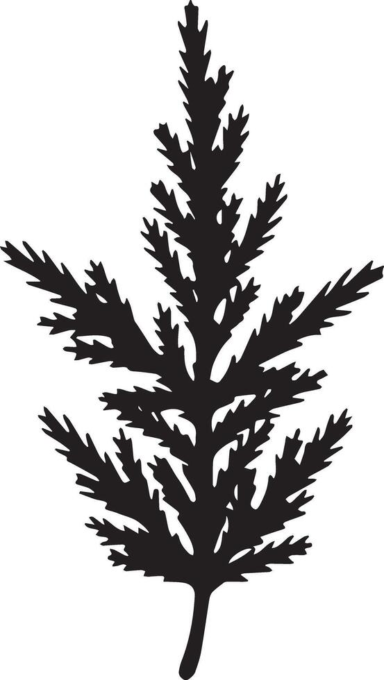 beautiful leafs design vector