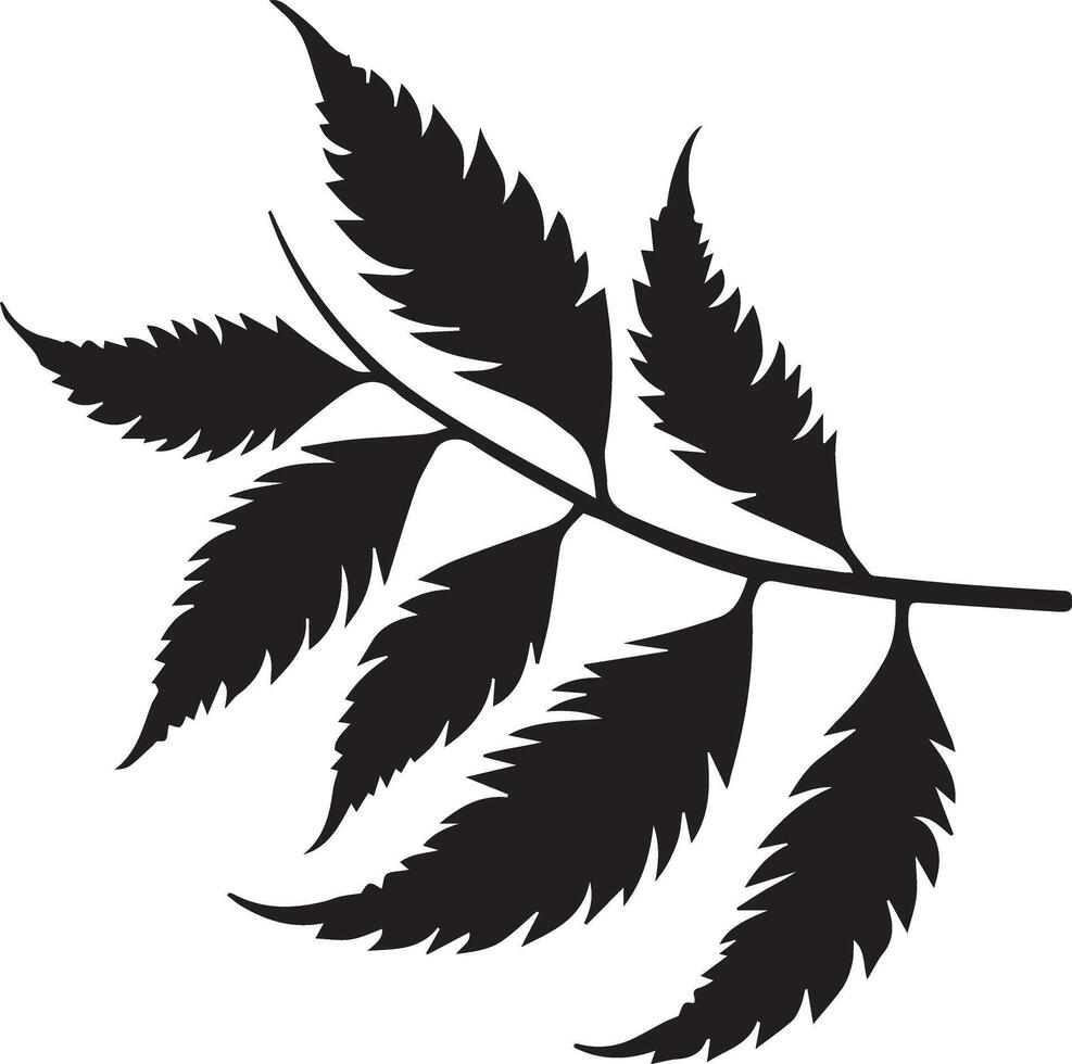A beautiful single neem leaf design vector