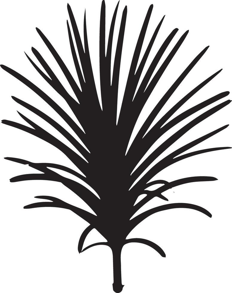 A black Yucca vector