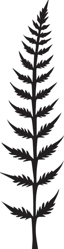 A beautiful Neem vector