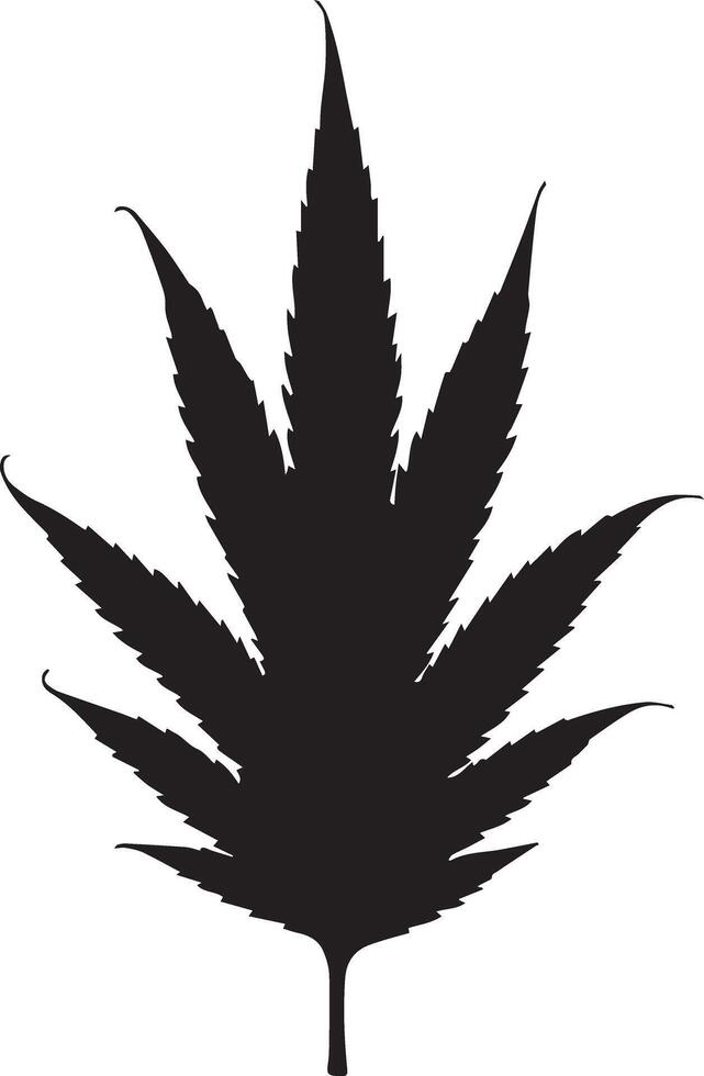 A beautiful neem leaf design vector