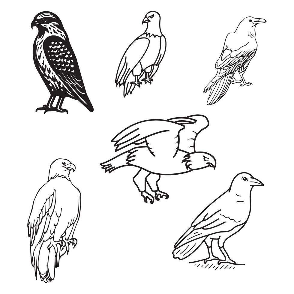 A set of birds in different poses and colors vector