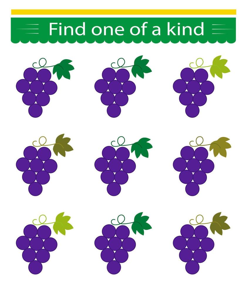 Fun educational game for kids. Need to find one of a kind grape. Kids activity page. vector