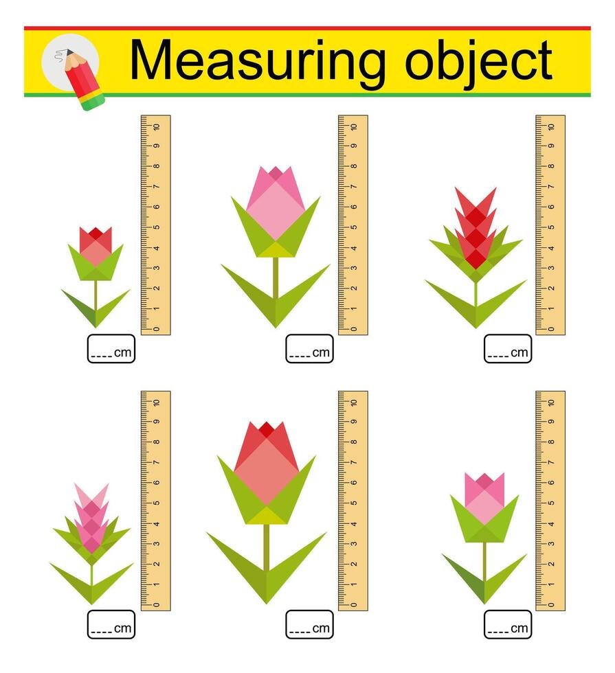 Measuring the length of cute flowers with a ruler vector