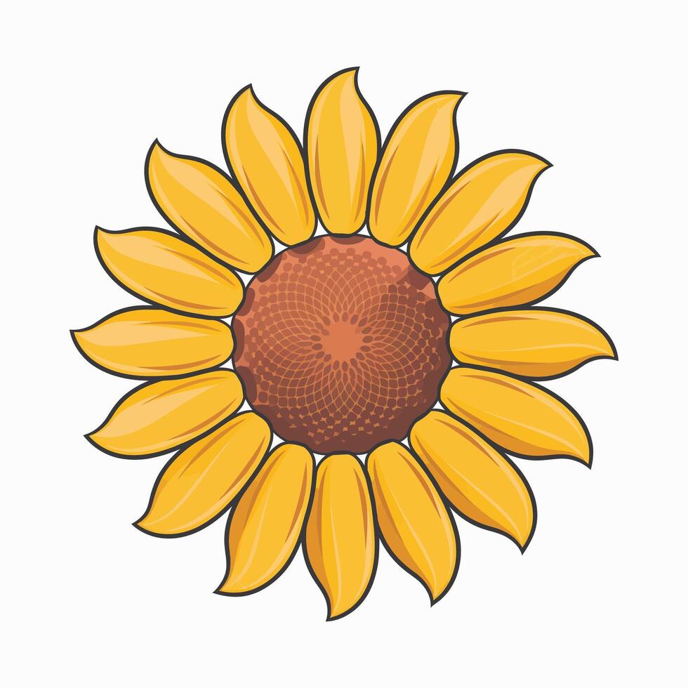 Beautiful Sunflower with Bright Petals vector