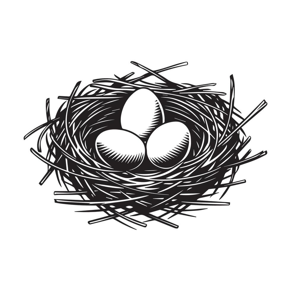Bird Nest with Three Eggs vector