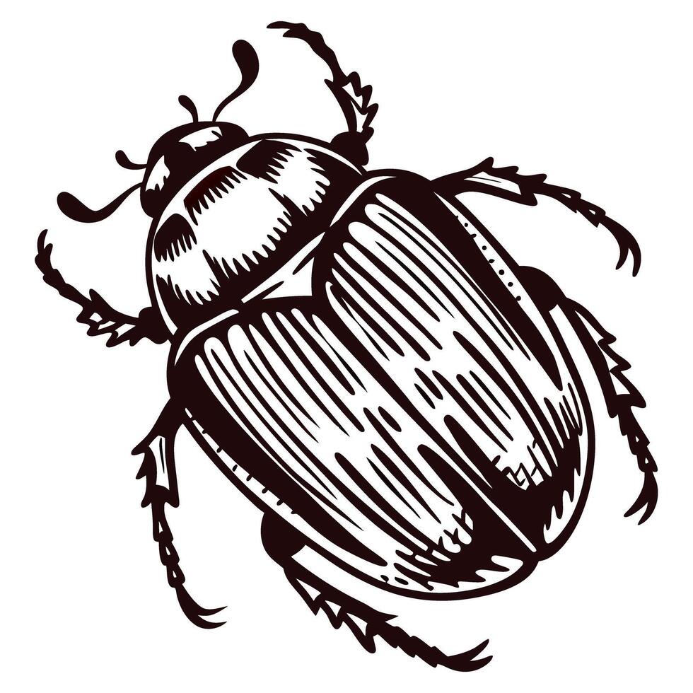Detailed black and white of a beetle with distinctive patterns and textures vector