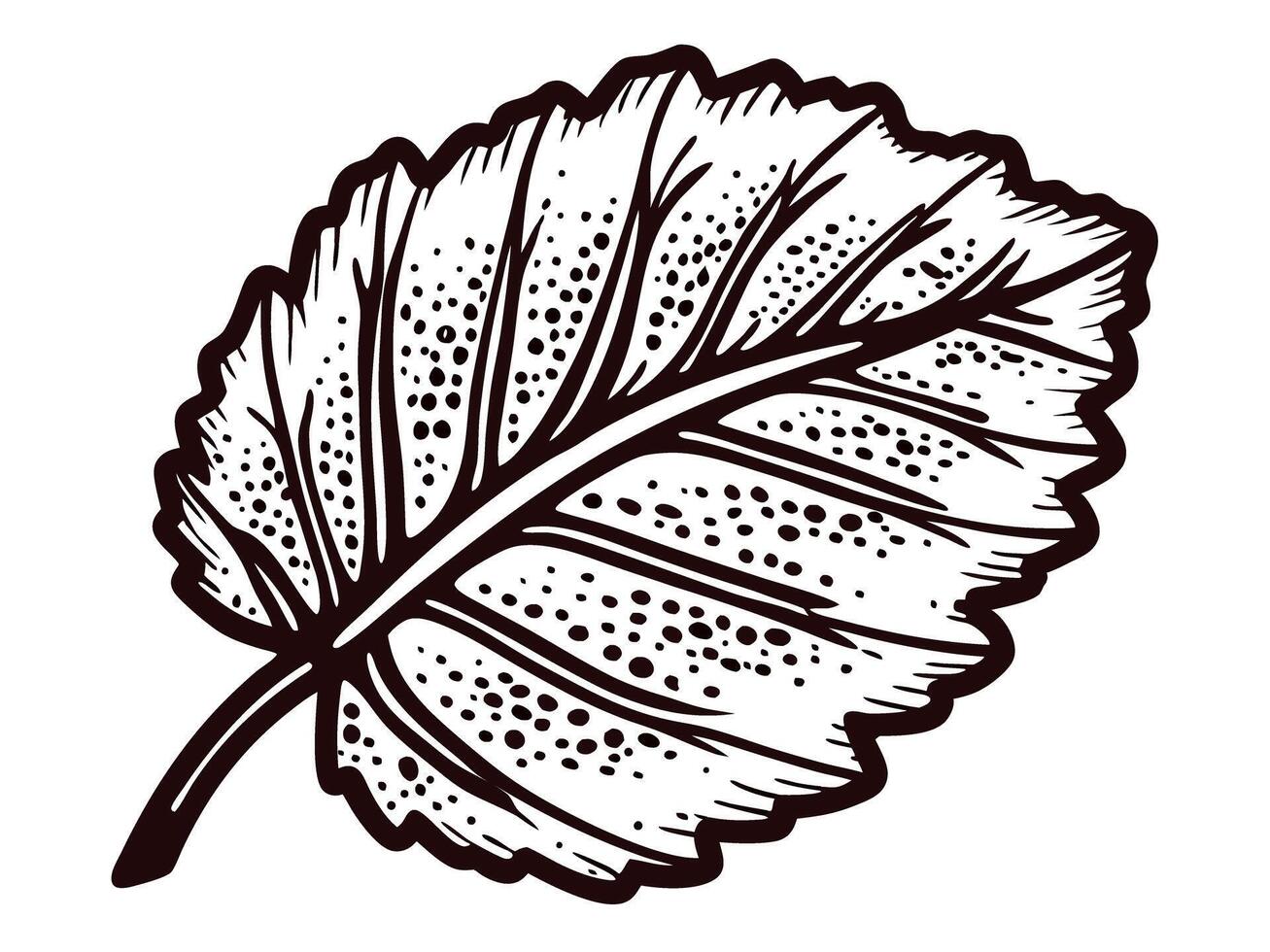 Detailed of a single leaf with visible veins and textured surface vector