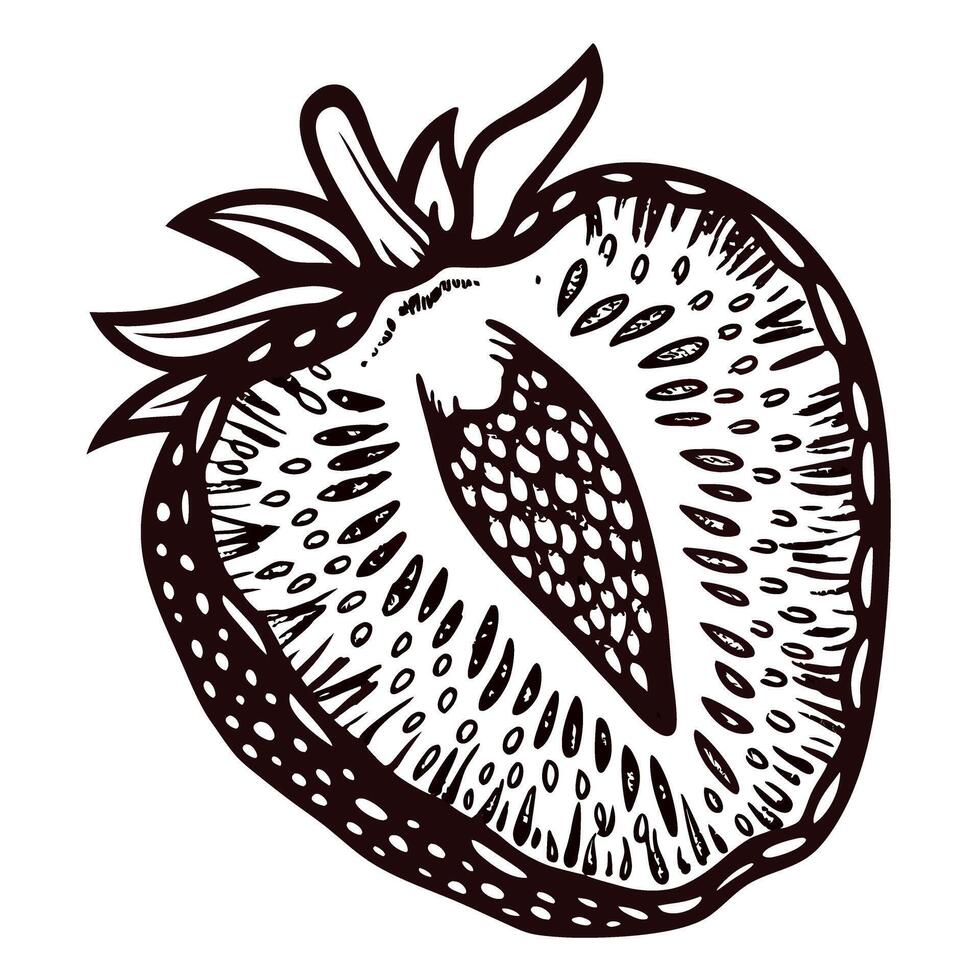 Detailed black and white sketch of a half strawberry with seeds and leaves vector