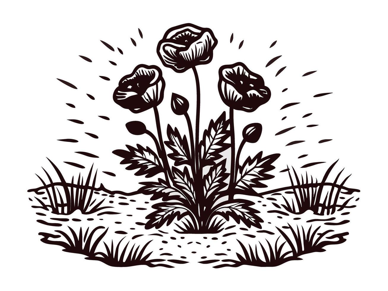 Artistic black and white floral design featuring poppy blossoms in nature setting vector
