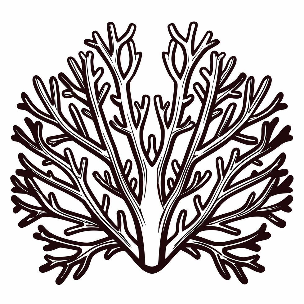 Detailed coral highlighting marine life symmetry and intricacy vector