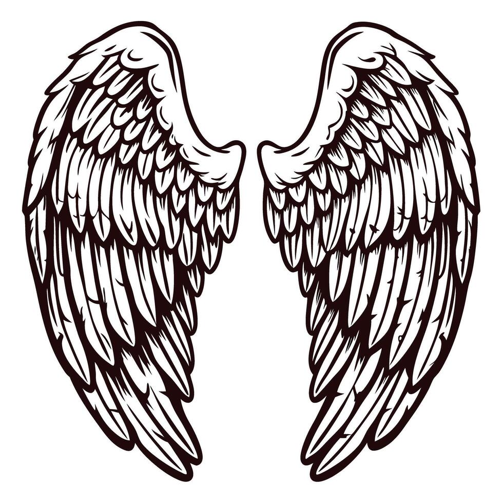 Intricate line art of angelic wings with detailed feathers in black and white design vector