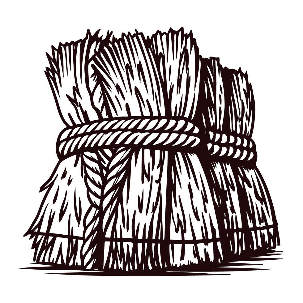 Bound hay bale in black and white line art vector
