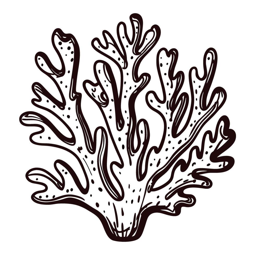 Intricate line art of coral branches showcasing marine biodiversity vector
