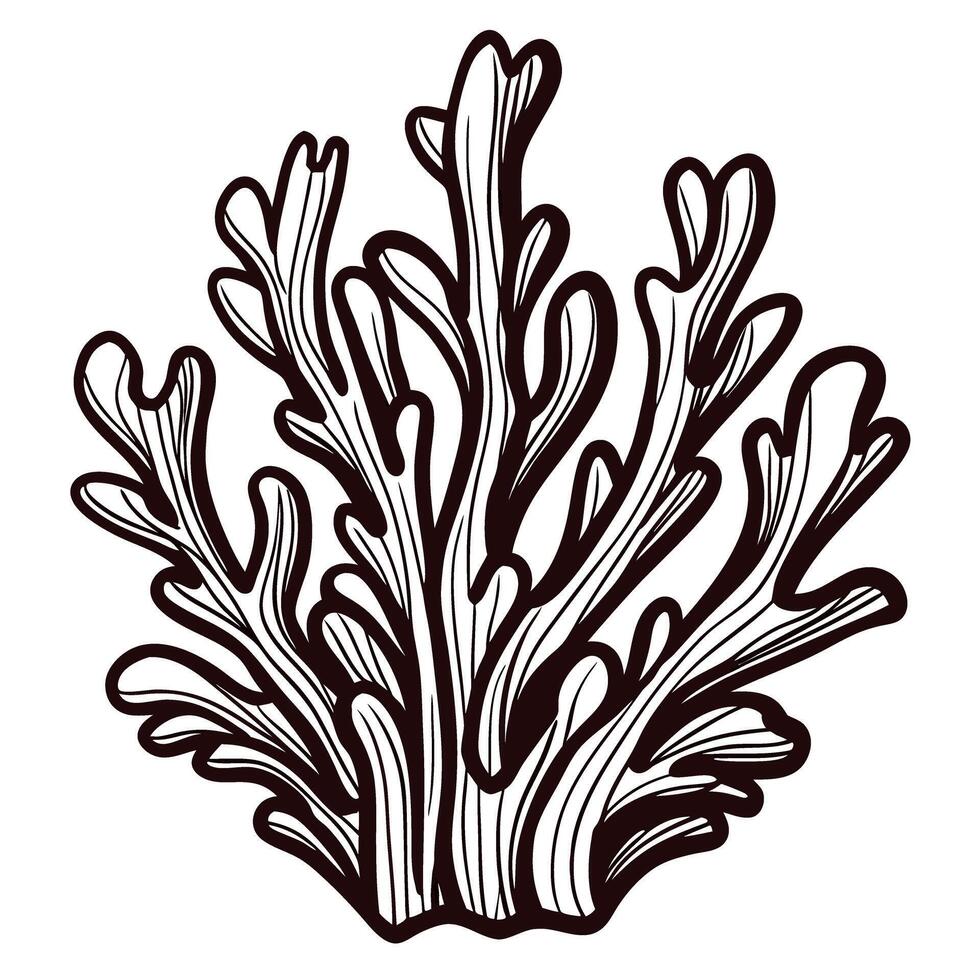 Detailed botanical of seaweed with flowing fronds and organic shapes vector
