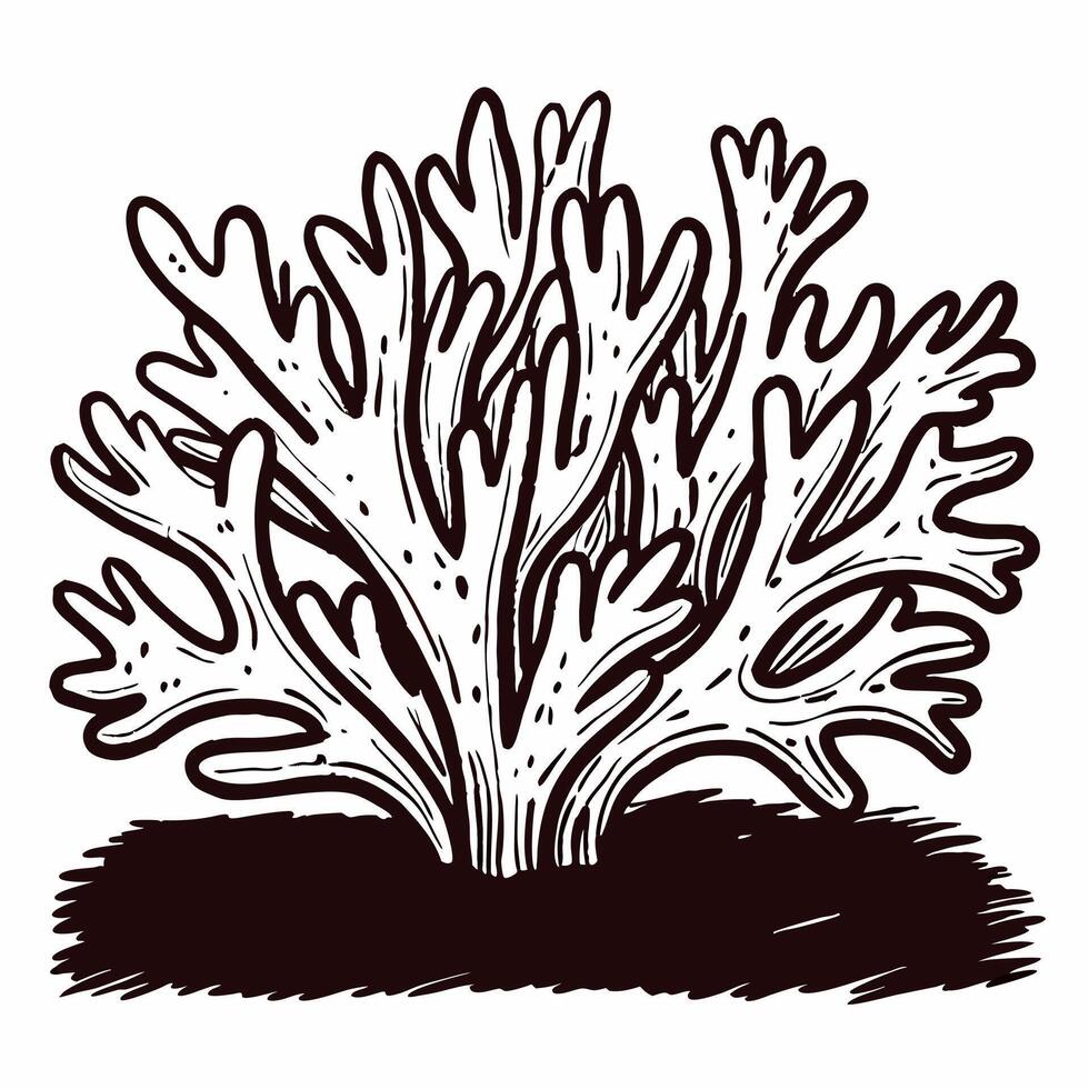 Detailed line art of coral reef plant with intricate branch patterns in black and white vector