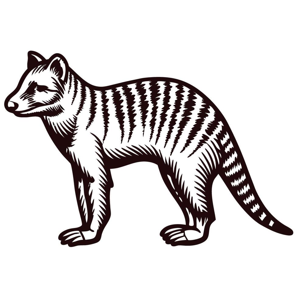 Vintage of a tasmanian tiger with distinctive stripes in profile view vector