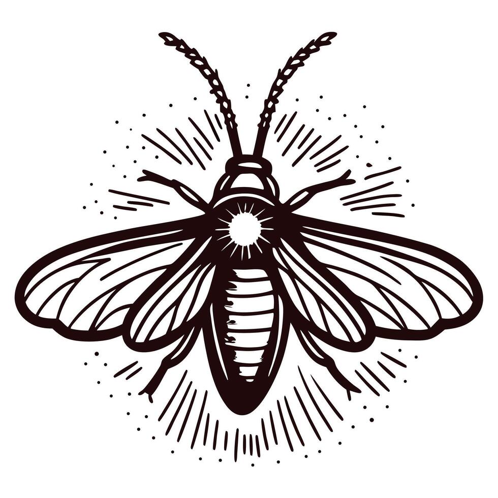 Detailed of a firefly with radiating wings vector