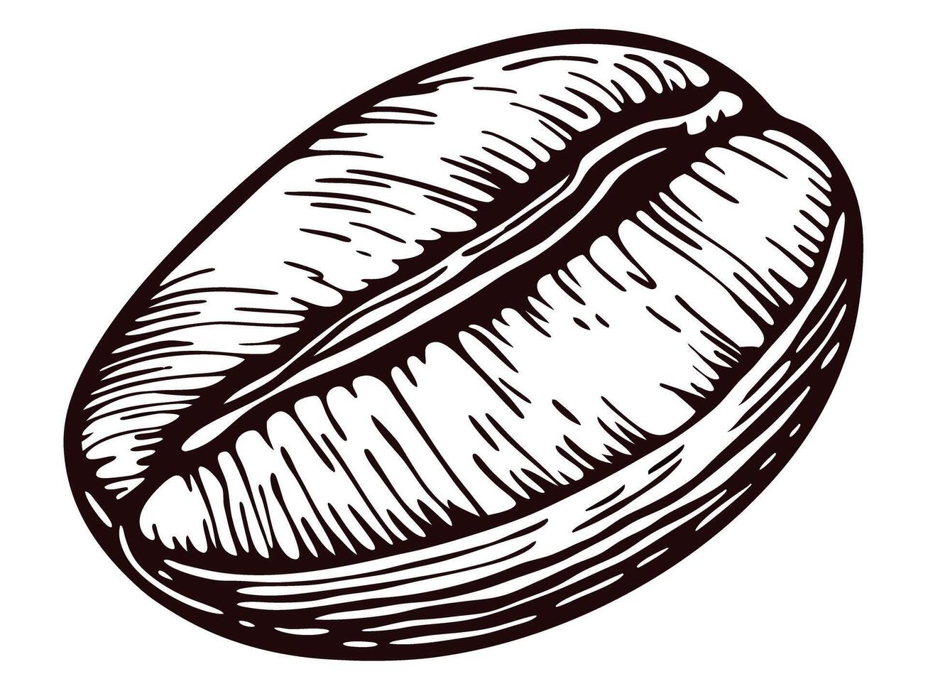Detailed of a single coffee bean in black and white vector