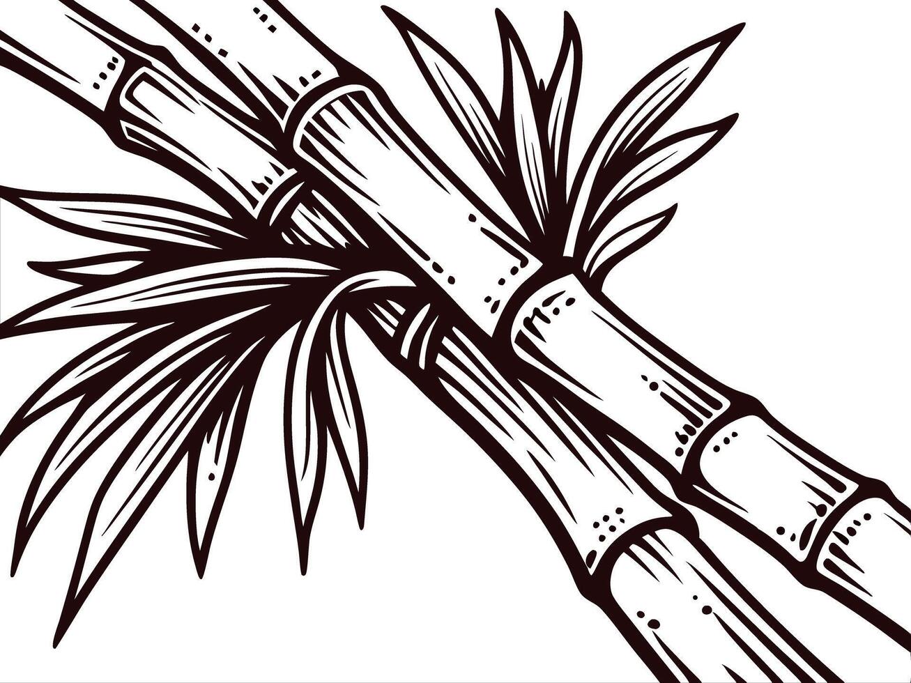 Detailed black and white bamboo with leaves focused on natures simplicity vector