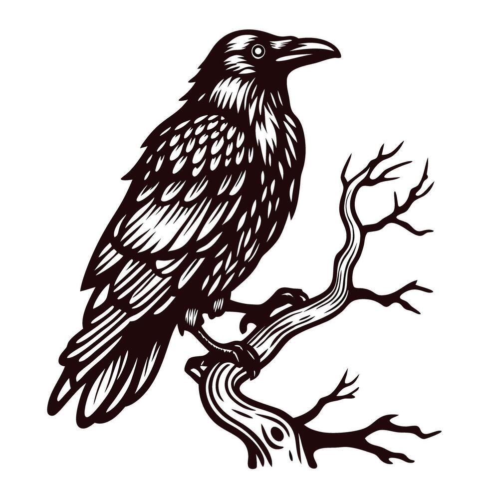 Raven perched on a twisted branch in intricate black and white artwork vector